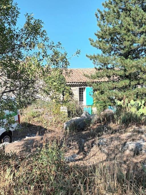 La Maison Bleue Montfort  Dış mekan fotoğraf